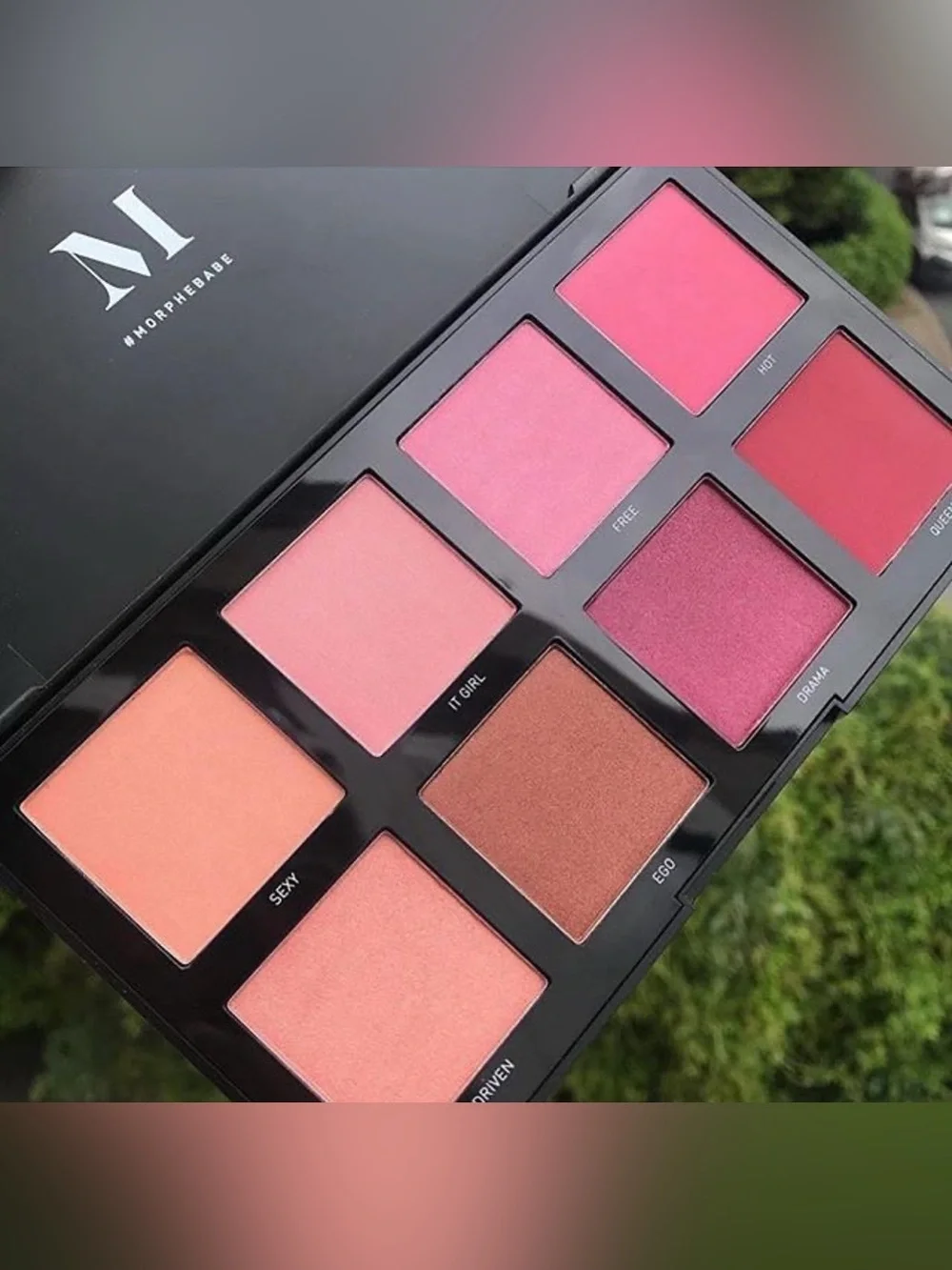 NIB Morphe 8C Cool Pro Blush Palette
